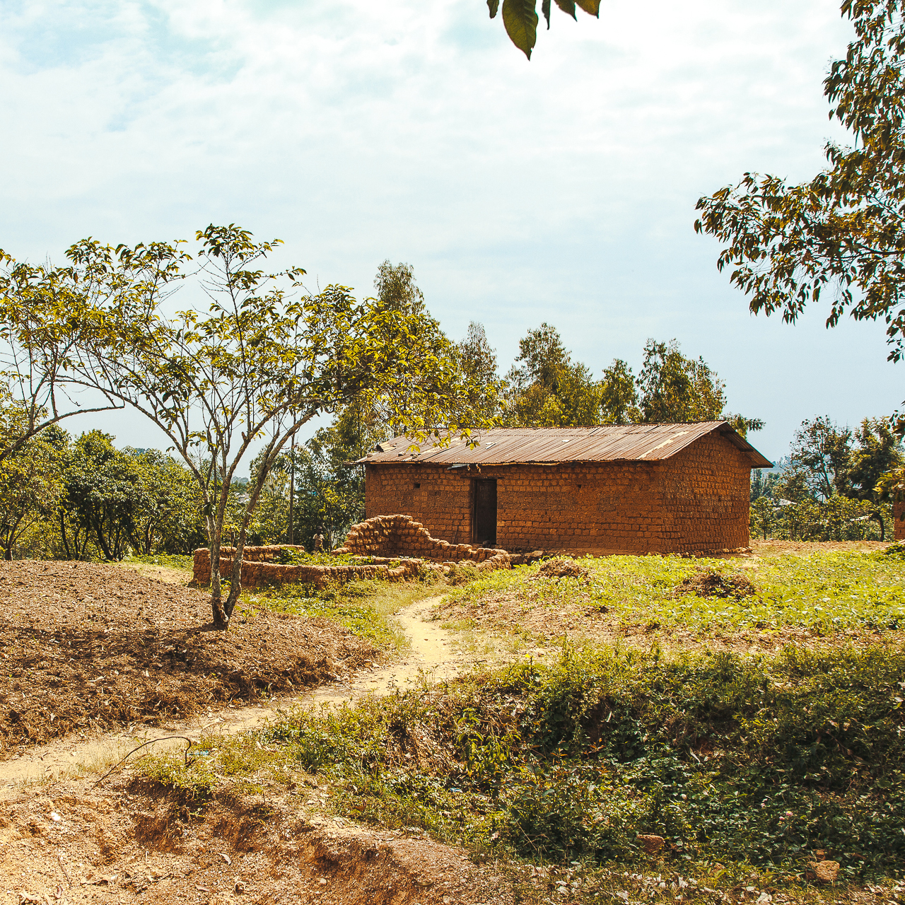brick house, Congo