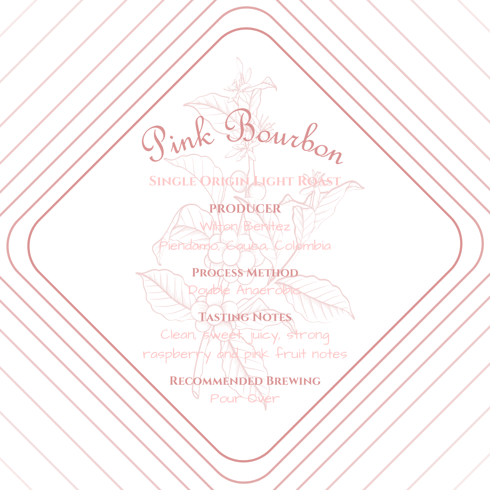 Pink Bourbon Java Central